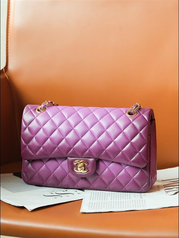 2026131214247594 850